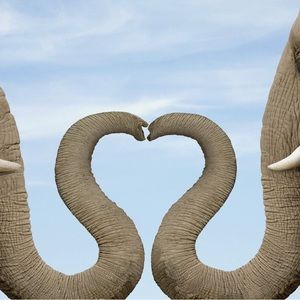 Meet your Posher, Cassy